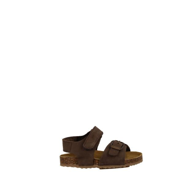Plakton 855702 MORESCO