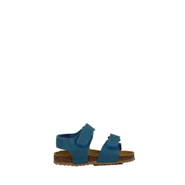 Plakton 855703 OCRE
