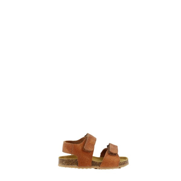 Plakton 855703 CUERO