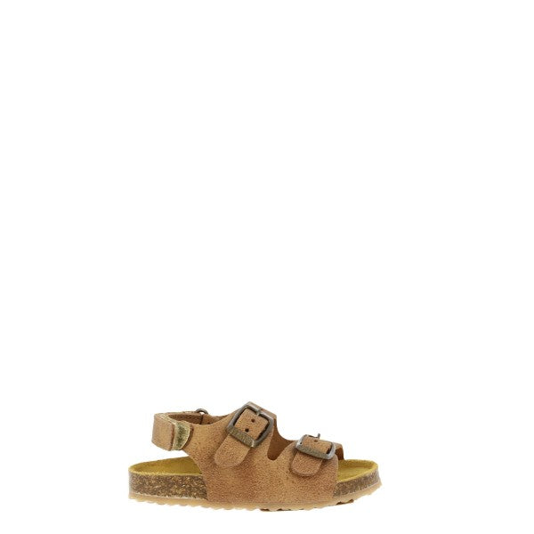 Plakton 856298 BEIG 01