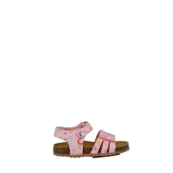 Plakton 865517 ROSA