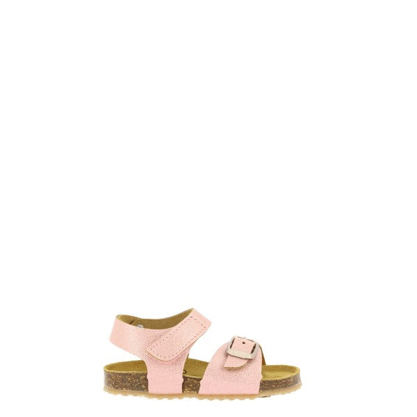 Plakton 865659 ROSA 09