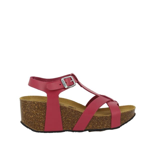 Plakton 873015 ROJO
