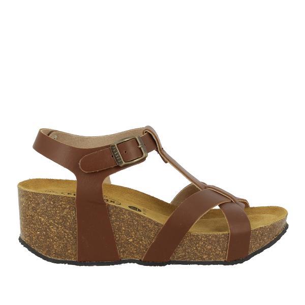 Plakton 873015 KAKI-731