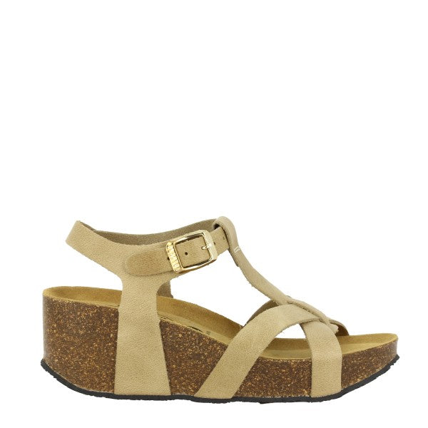 Plakton 873015 LINO