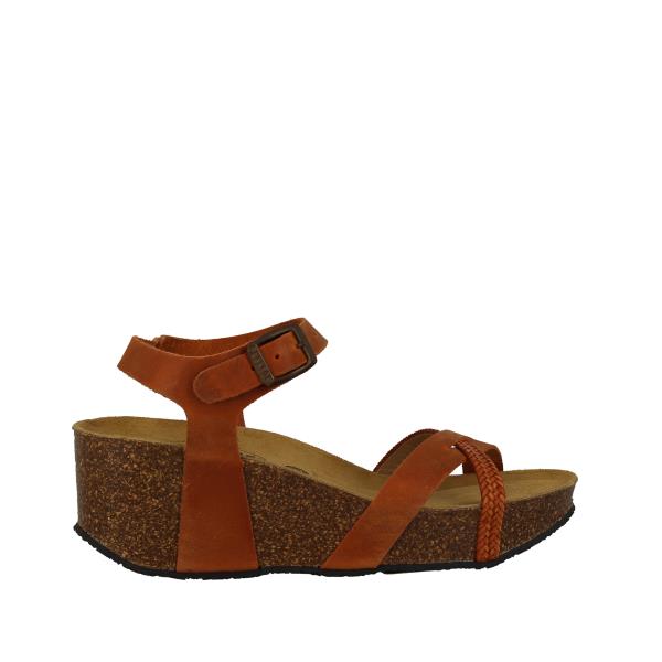 Plakton 875087 CUERO