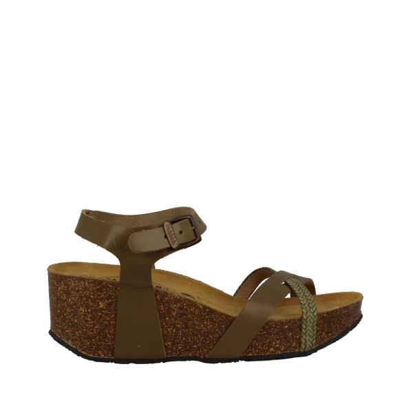 Plakton 875087 VERDE-KAKI