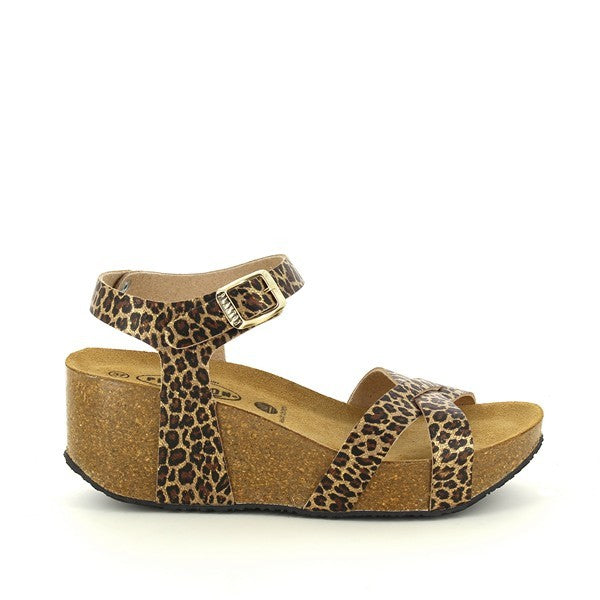 Plakton 875087 NUEZ
