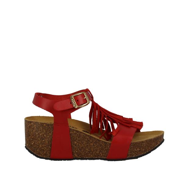 Plakton 875275 ROJO-FUEGO