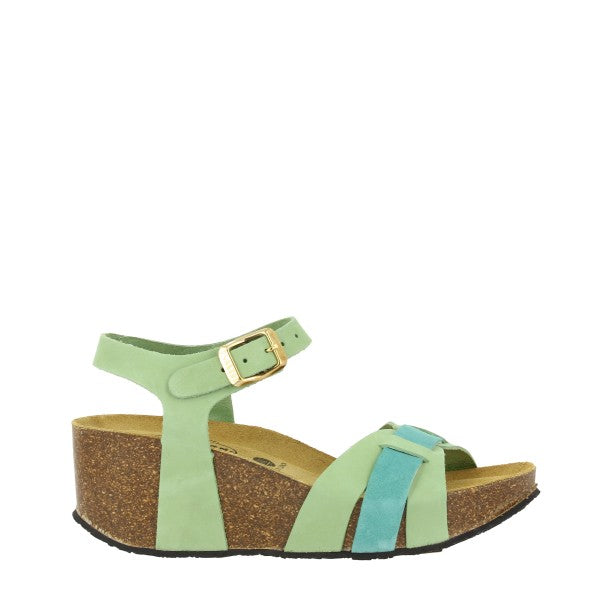 Plakton 876220 SALIVIA-FIGGY-MUITI