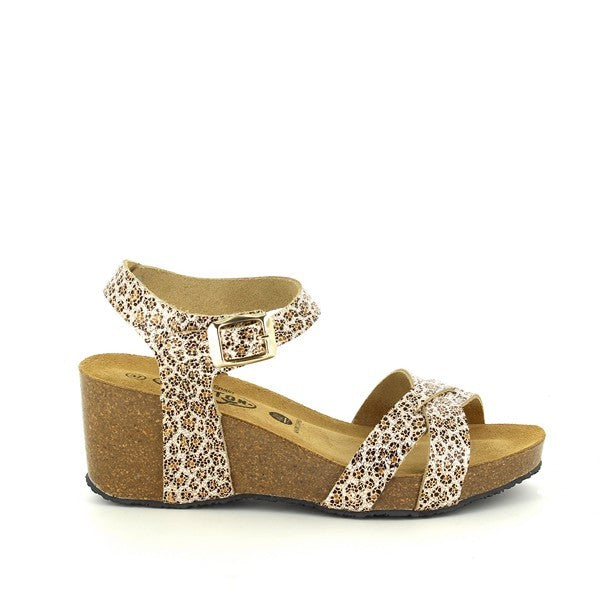 Plakton 885087 ORO-MULTI