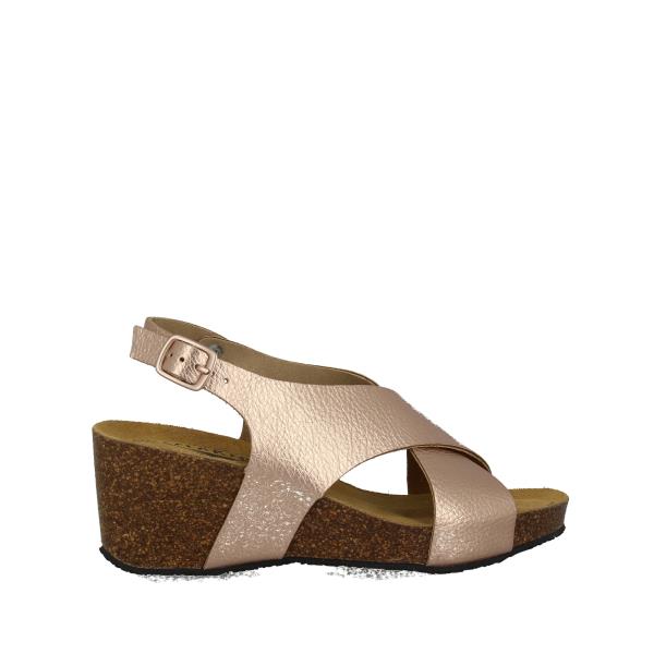 Plakton 885902 ROSE-05