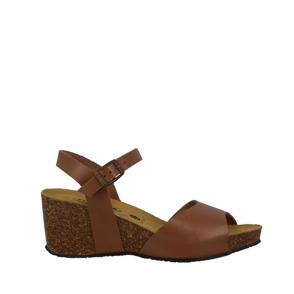 Plakton 885922 CAMEL