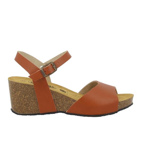 Plakton 885922 TEJA-586 X