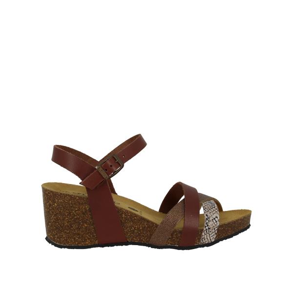 Plakton 886092 CORCHO-BRONCE
