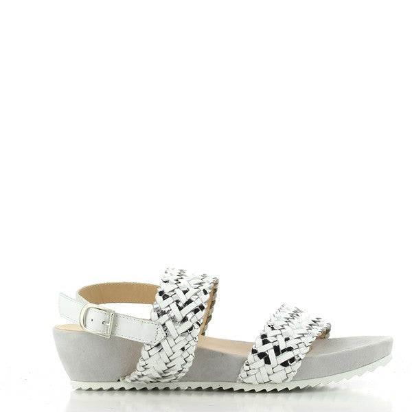 Quait 17286 WHITE
