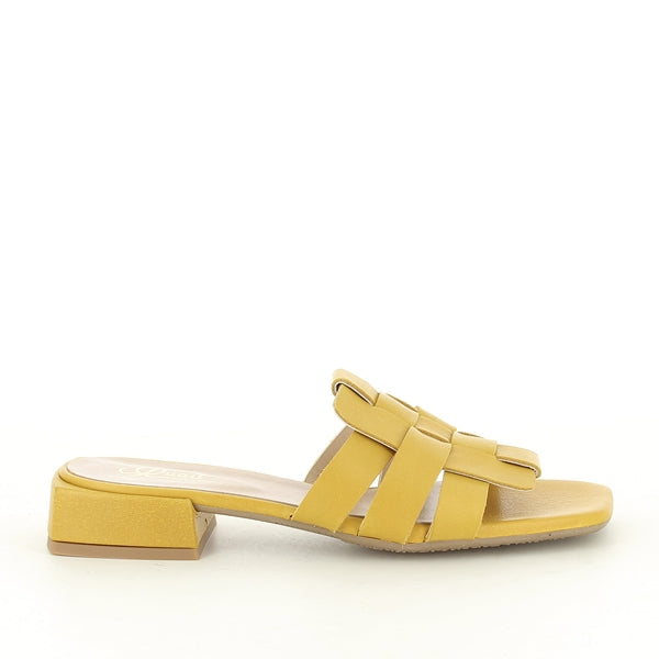 Quait 21009 AMBRA
