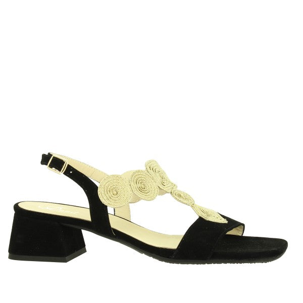Quait 22698 NEGRO-GOLD