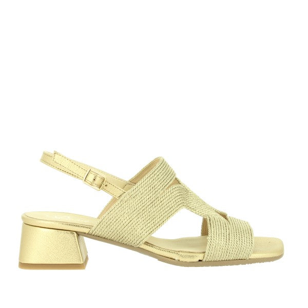 Quait 25171 GOLD