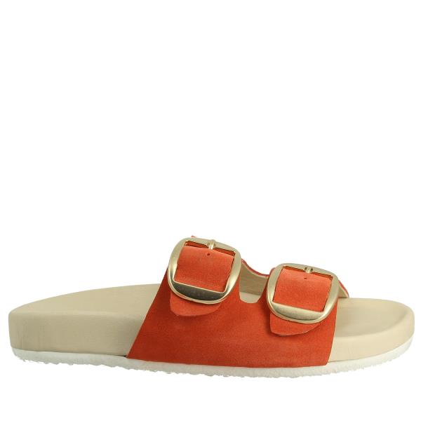 Wave 240601 RED