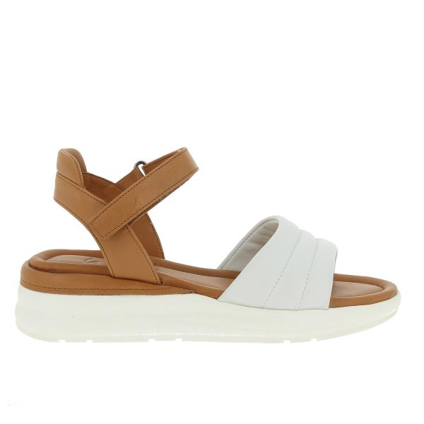 Wave 24117 BIANCO-COCONUT