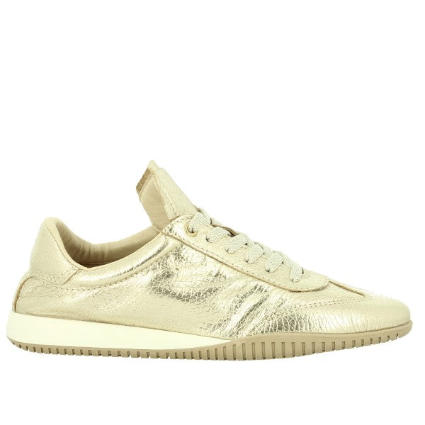 Wave 6034 ORO