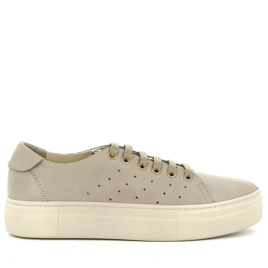 Wave TL-9060 TORTORA