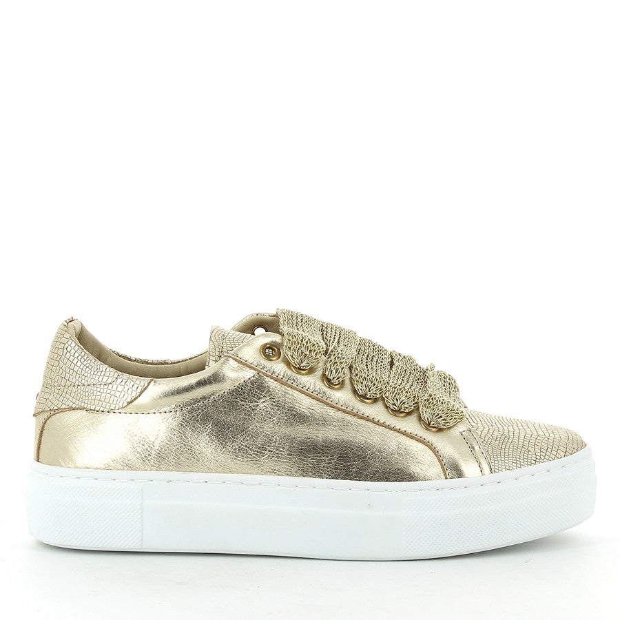 Wave TL-9069 GOLD