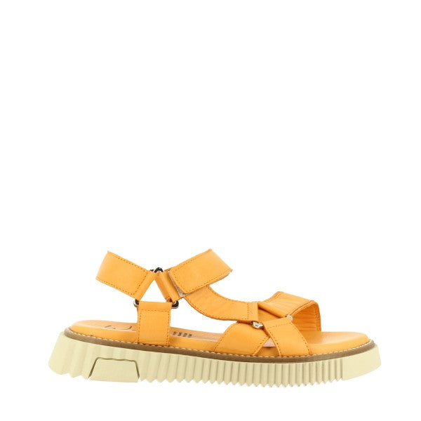 Wave ZEN-60671 ORANGE