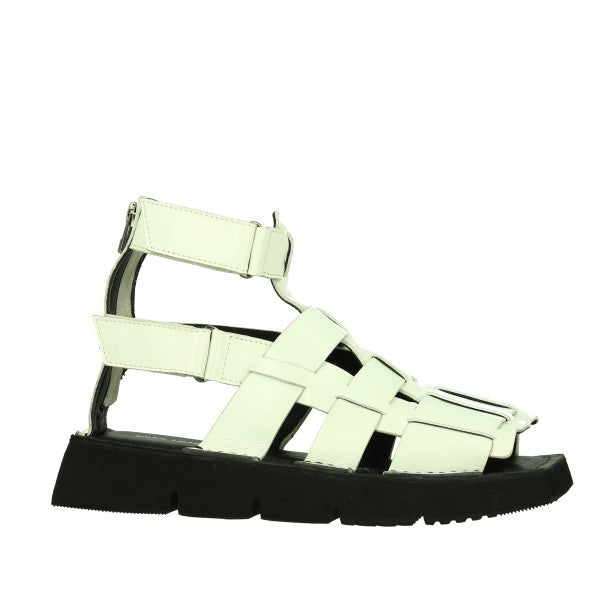Yuko Imanishi 752070 WHITE