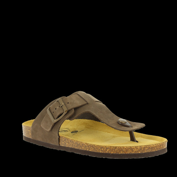 An angled shot highlighting the overall design of the sandal, emphasizing the classic thong style, round toe shape, and the Plakton logo detail on the strap.