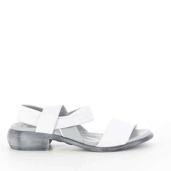 Marco Dalessi MIDORI WHITE