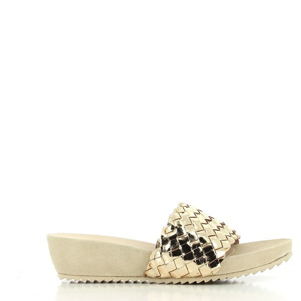 Quait 16296 GOLD