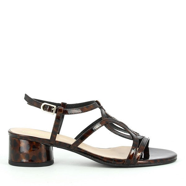 Quait 19229 BROWN
