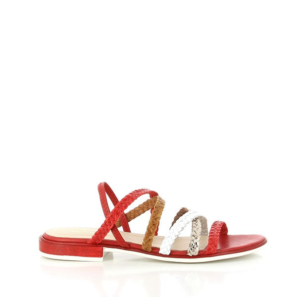 Quait 19671 CORAL